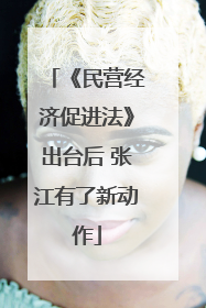《民营经济促进法》出台后 张江有了新动作