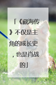 《藏海传》不仅是主角的成长史，也是肖战的