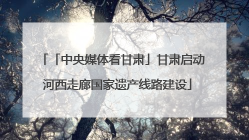 「中央媒体看甘肃」甘肃启动河西走廊国家遗产线路建设