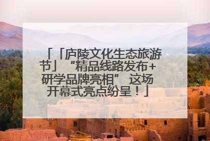 「庐陵文化生态旅游节」“精品线路发布+研学品牌亮相” 这场开幕式亮点纷呈！