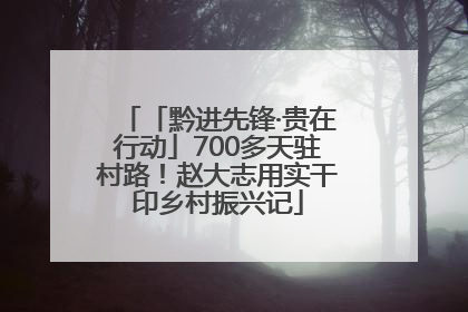 「黔进先锋·贵在行动」700多天驻村路！赵大志用实干印乡村振兴记