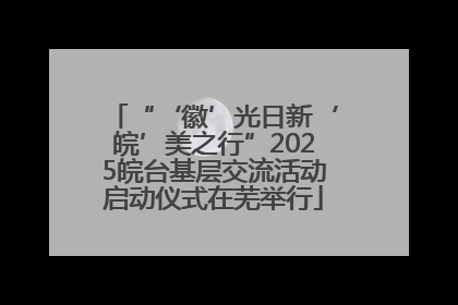 “‘徽’光日新‘皖’美之行”2025皖台基层交流活动启动仪式在芜举行