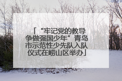 “牢记党的教导 争做强国少年”青岛市示范性少先队入队仪式在崂山区举办