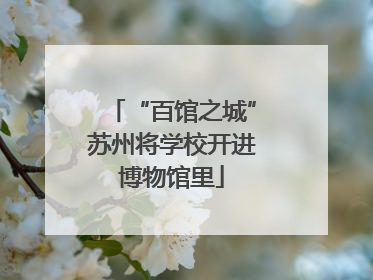 “百馆之城”苏州将学校开进博物馆里