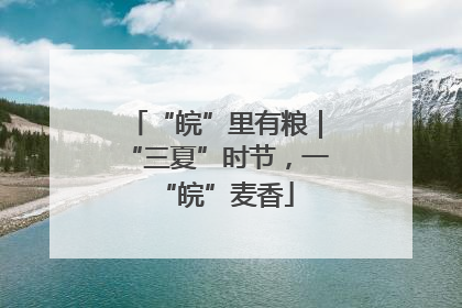 “皖”里有粮｜“三夏”时节，一“皖”麦香