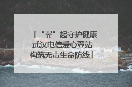 “翼”起守护健康 武汉电信爱心翼站构筑无毒生命防线