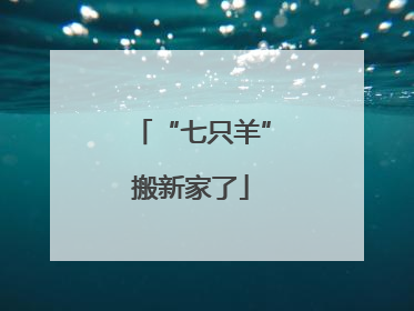 “七只羊”搬新家了
