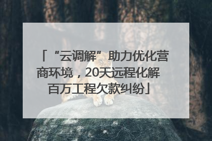 “云调解”助力优化营商环境，20天远程化解百万工程欠款纠纷