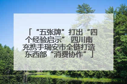 “五张牌”打出“四个经验启示” 四川南充携手瑞安市全链打造东西部“消费协作”