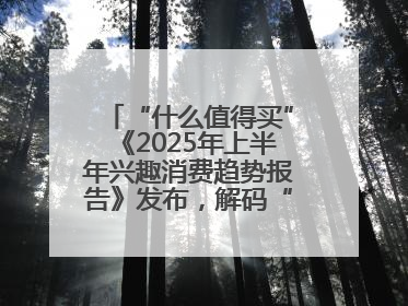 “什么值得买”《2025年上半年兴趣消费趋势报告》发布，解码“心价比”时代兴趣消费新范式