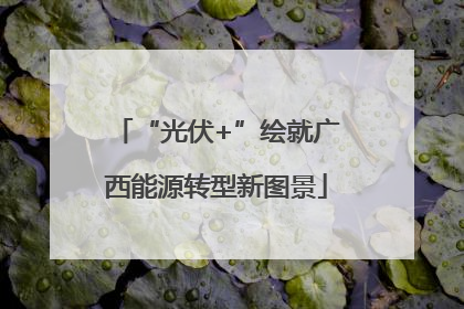 “光伏+”绘就广西能源转型新图景