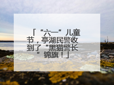 “六一”儿童节，亭湖民警收到了“黑猫警长”锦旗！
