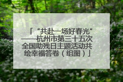 “共赴一场好春光”——杭州市第三十五次全国助残日主题活动共绘幸福答卷（组图）