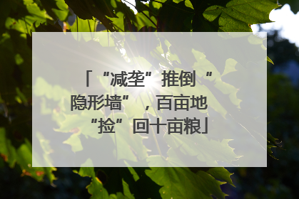 “减垄”推倒“隐形墙”，百亩地“捡”回十亩粮