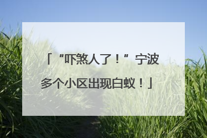 “吓煞人了！”宁波多个小区出现白蚁！