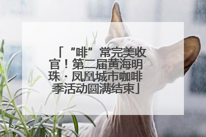 “啡”常完美收官！第二届黄海明珠・凤凰城市咖啡季活动圆满结束