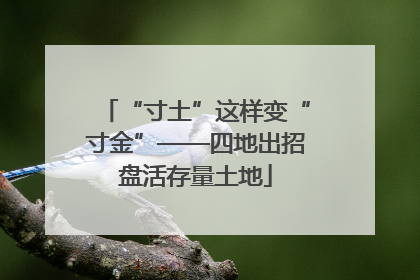 “寸土”这样变“寸金”——四地出招盘活存量土地