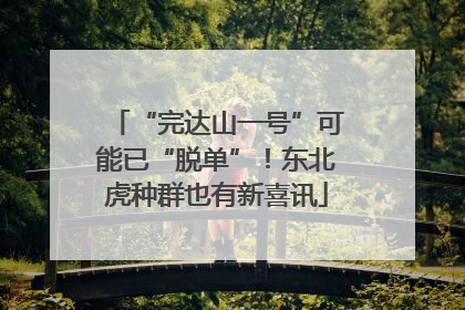“完达山一号”可能已“脱单”！东北虎种群也有新喜讯