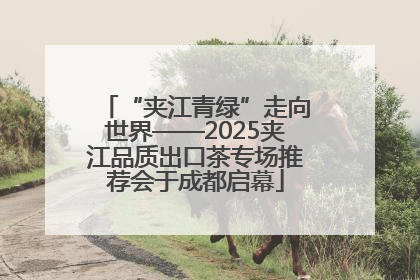 “夹江青绿”走向世界——2025夹江品质出口茶专场推荐会于成都启幕