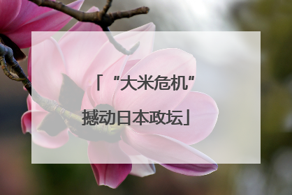 “大米危机”撼动日本政坛