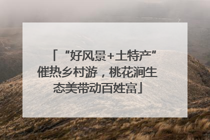 “好风景+土特产”催热乡村游，桃花涧生态美带动百姓富