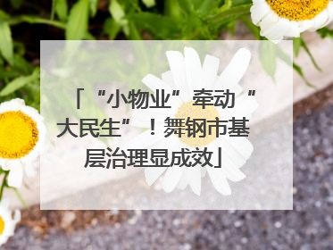 “小物业”牵动“大民生”！舞钢市基层治理显成效