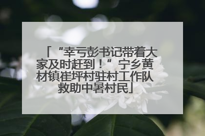 “幸亏彭书记带着大家及时赶到！”宁乡黄材镇崔坪村驻村工作队救助中暑村民