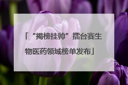 “揭榜挂帅”擂台赛生物医药领域榜单发布