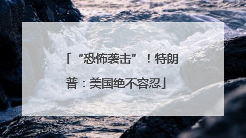 “恐怖袭击”！特朗普：美国绝不容忍