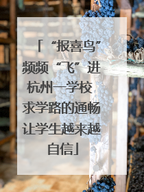 “报喜鸟”频频“飞”进杭州一学校 求学路的通畅让学生越来越自信