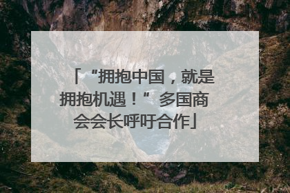 “拥抱中国，就是拥抱机遇！”多国商会会长呼吁合作