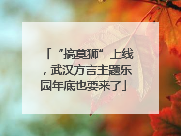 “搞莫狮”上线，武汉方言主题乐园年底也要来了