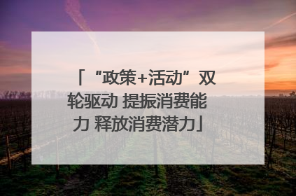 “政策+活动”双轮驱动 提振消费能力 释放消费潜力