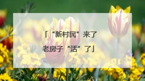 “新村民”来了 老房子“活”了