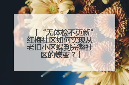 “无体检不更新”红梅社区如何实现从老旧小区蝶到完整社区的蝶变？