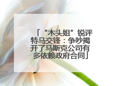 “木头姐”锐评特马交锋：争吵揭开了马斯克公司有多依赖政府合同