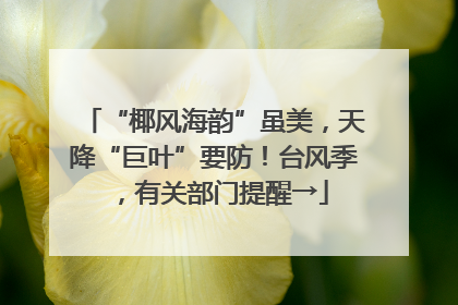 “椰风海韵”虽美，天降“巨叶”要防！台风季，有关部门提醒→