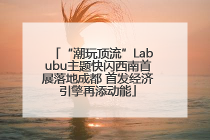“潮玩顶流”Labubu主题快闪西南首展落地成都 首发经济引擎再添动能