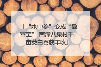 “水中参”变成“致富宝” 南漳八泉村千亩茭白喜获丰收