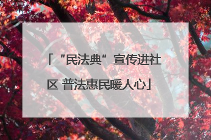 “民法典”宣传进社区 普法惠民暖人心
