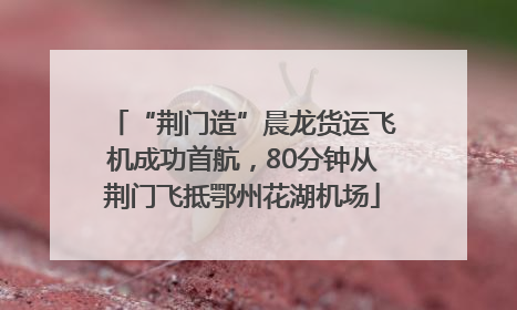 “荆门造”晨龙货运飞机成功首航，80分钟从荆门飞抵鄂州花湖机场