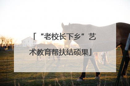 “老校长下乡”艺术教育帮扶结硕果