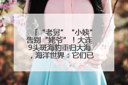 “老舅”“小姨”告别“姥爷”！大连9头斑海豹重归大海，海洋世界：它们已具备野外生存能力