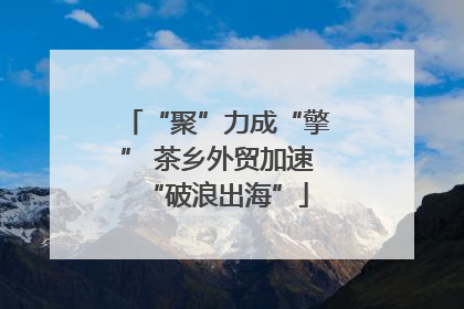 “聚”力成“擎” 茶乡外贸加速“破浪出海”