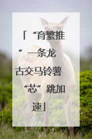 “育繁推”一条龙 古交马铃薯“芯”跳加速