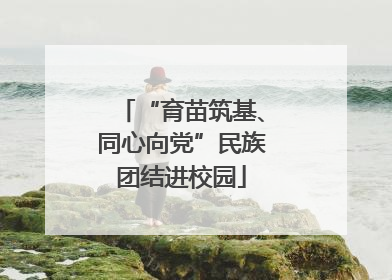 “育苗筑基、同心向党”民族团结进校园