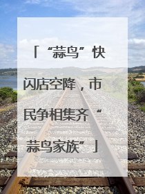 “蒜鸟”快闪店空降，市民争相集齐“蒜鸟家族”