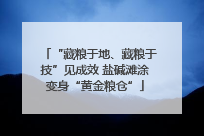 “藏粮于地、藏粮于技”见成效 盐碱滩涂变身“黄金粮仓”