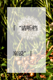“请听档案说”