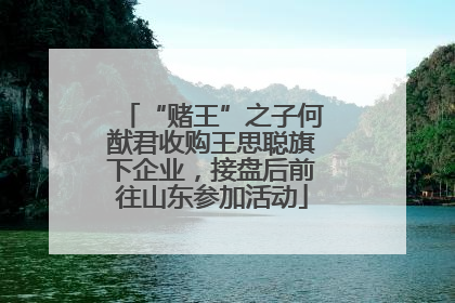 “赌王”之子何猷君收购王思聪旗下企业，接盘后前往山东参加活动